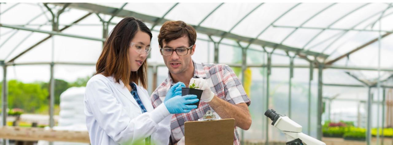 环境科学家在温室里观察植物